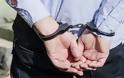 Κακουργηματική δίωξη στον Γερμανό που συνελήφθη για εμπρησμό στη Χαλκιδική