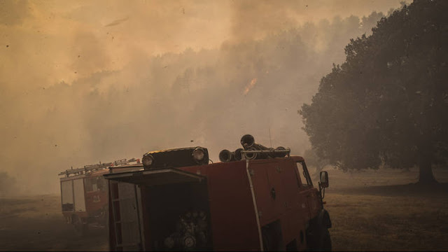 Φωτιά στην Αμαλιάδα: Σε χαράδρα δίνουν οι Πυροσβέστες τη μάχη με τις φλόγες - Φωτογραφία 1