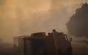 Φωτιά στην Αμαλιάδα: Σε χαράδρα δίνουν οι Πυροσβέστες τη μάχη με τις φλόγες - Φωτογραφία 1