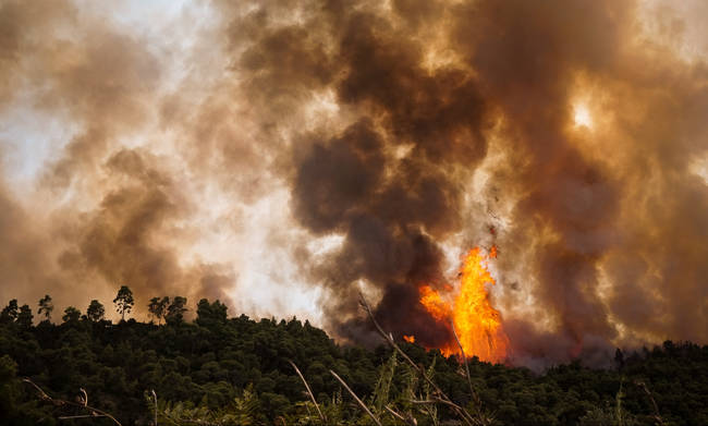 Συνεχίζεται η μάχη με τις φλόγες στην Αμαλιάδα - Φωτογραφία 1