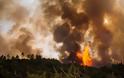 Συνεχίζεται η μάχη με τις φλόγες στην Αμαλιάδα - Φωτογραφία 1