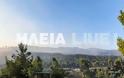 Συνεχίζεται η μάχη με τις φλόγες στην Αμαλιάδα - Φωτογραφία 2
