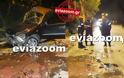 Χαλκίδα: Θανατηφόρο τροχαίο με δύο νεκρούς κοντά στα φανάρια της Νέας Λαμψάκου! 31χρονος και 62χρονος τα θύματα - Αποκλειστικές Εικόνες και Βίντεο! - Φωτογραφία 1