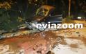 Χαλκίδα: Θανατηφόρο τροχαίο με δύο νεκρούς κοντά στα φανάρια της Νέας Λαμψάκου! 31χρονος και 62χρονος τα θύματα - Αποκλειστικές Εικόνες και Βίντεο! - Φωτογραφία 9