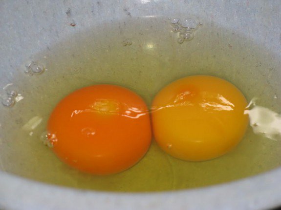 Ποιον από τους δύο κρόκους αβγών θα επέλεγες; - Φωτογραφία 1
