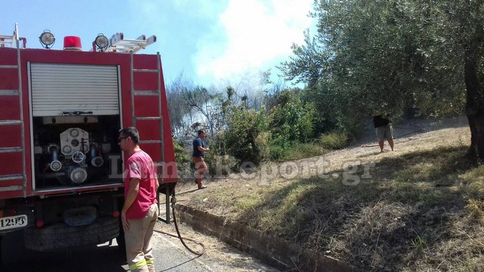 Φθιώτιδα: Σε δύο εστίες ταυτόχρονα πυρκαγιά στην Άγναντη - Φωτογραφία 6