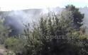 Φθιώτιδα: Σε δύο εστίες ταυτόχρονα πυρκαγιά στην Άγναντη