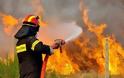 Μπαράζ συλλήψεων στην Κρήτη για πυρκαγιές - Συνελήφθη και αστυνομικός