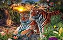 Πάτε στοίχημα ότι δε μπορείτε να βρείτε πόσες τίγρεις υπάρχουν στη φωτογραφία;