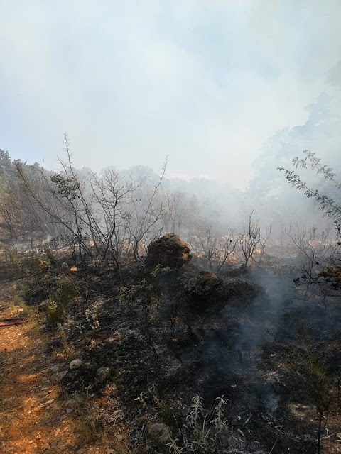 Κι άλλη φωτιά ξέσπασε  στην Παλαιομάνινα - Φωτογραφία 7