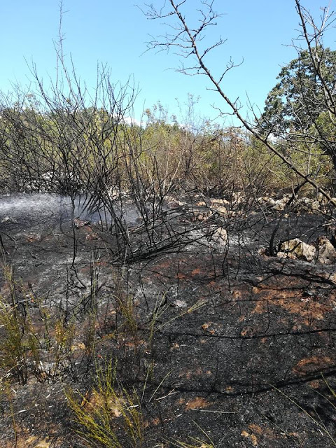 Κι άλλη φωτιά ξέσπασε  στην Παλαιομάνινα - Φωτογραφία 9