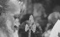 Με λαμπρότητα πανηγύρισε η Ιερά Μονή “Παναγίας του Έβρου” στην Μάκρη Αλεξανδρούπολης - Φωτογραφία 11