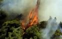 Φωτιά: Μεγάλη πυρκαγιά στην Κέρκυρα - Εκκενώθηκε οικισμός