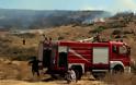 Πυρκαγιά στη Σαλαμίνα - Απομακρύνθηκαν πρόσκοποι