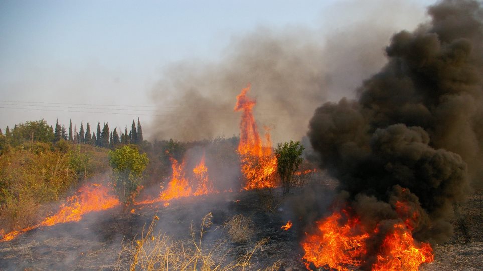 Κέρκυρα: Υπό μερικό έλεγχο η φωτιά που ξέσπασε στους Ραχτάδες - Φωτογραφία 1