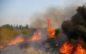Κέρκυρα: Υπό μερικό έλεγχο η φωτιά που ξέσπασε στους Ραχτάδες