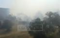 Κέρκυρα: Υπό μερικό έλεγχο η φωτιά που ξέσπασε στους Ραχτάδες - Φωτογραφία 3
