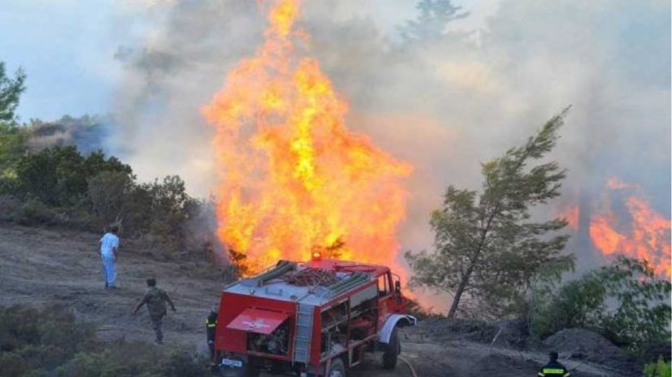 Φωτιά στην περιοχή Κανάκια της Σαλαμίνας - Εκκενώθηκε κατασκήνωση προσκόπων - Φωτογραφία 1