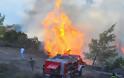 Φωτιά στην περιοχή Κανάκια της Σαλαμίνας - Εκκενώθηκε κατασκήνωση προσκόπων