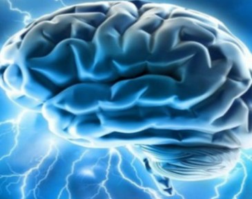Νέα μελέτη: Πώς αντιδρά ο εγκέφαλος των ανθρώπων όταν έχουν φθάσει ένα βήμα πριν τον θάνατο - Φωτογραφία 1