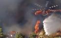 “Και 50 ελικόπτερα να ΄χαμε δεν σβήναμε τη φωτιά” λέει ο άνθρωπος που τα νοικιάζει στην Ελλάδα