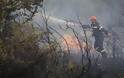Εύβοια: Ξέσπασε φωτιά στο χωριό Σταυρός! - Φωτογραφία 1