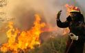 Ξανά μεγάλη πυρκαγιά στο Δήμο Διρφύων Μεσσαπίων μετά την καταστροφική λαίλαπα στο Κοντοδεσπότι