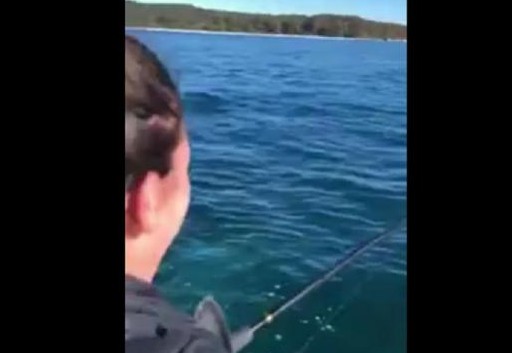 Χταπόδι εναντίον ψαράδων: Τους «τύφλωσε» το μελάνι [Video] - Φωτογραφία 1