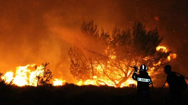 32χρονος έβαλε 9 φωτιές στην Εύβοια - Φωτογραφία 1