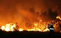 32χρονος έβαλε 9 φωτιές στην Εύβοια