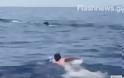 Κολύμπησε δίπλα σε φάλαινα ανοιχτά των Σφακίων!