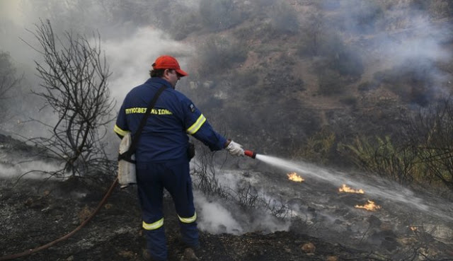 Βόρεια Εύβοια: Πυρκαγιά στις Ροβιές - Δεν απειλούνται κατοικημένες περιοχές! - Φωτογραφία 1