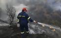 Βόρεια Εύβοια: Πυρκαγιά στις Ροβιές - Δεν απειλούνται κατοικημένες περιοχές!