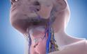 Λέμφωμα – καρκίνος: Προσοχή στα «αθώα» συμπτώματα – Πού να ψηλαφήσετε για την αυτοεξέταση [video] - Φωτογραφία 1