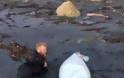 Γιγαντιαίο καλαμάρι 5 μέτρων ξεβράστηκε σε ακτή της Νέας Ζηλανδίας (pics) - Φωτογραφία 2