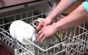 5 πράγματα που μπορείς να πλύνεις στο πλυντήριο πιάτων (εκτός από αυτά που γνωρίζεις)