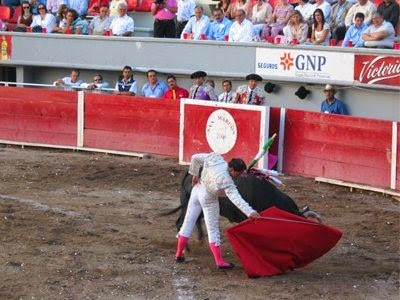 12 πράγματα που πιστεύαμε μέχρι σήμερα, αλλά τελικά δεν ισχύουν [photos] - Φωτογραφία 8