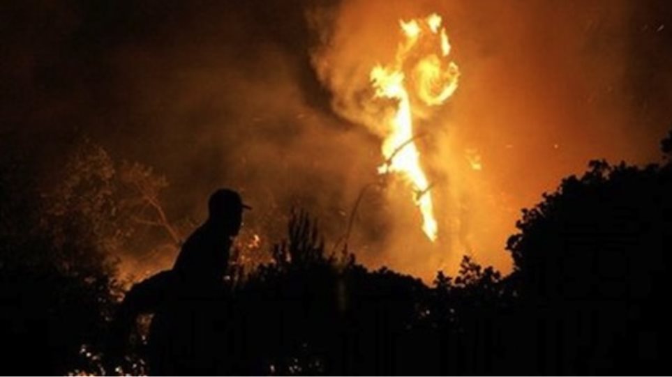 Υπό έλεγχο η πυρκαγιά στο Μενίδι, στους πρόποδες της Πάρνηθας - Φωτογραφία 1