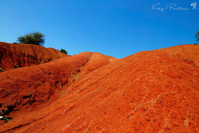 Το σπάνιο γεωλογικό φαινόμενο που μαγεύει: Δείτε τους κόκκινους αμμόλοφους στη ΠΡΕΒΕΖΑ με το φακό της Βονιτσάνας Vicky Pantazis - Φωτογραφία 18