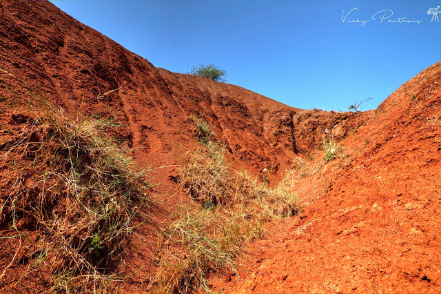 Το σπάνιο γεωλογικό φαινόμενο που μαγεύει: Δείτε τους κόκκινους αμμόλοφους στη ΠΡΕΒΕΖΑ με το φακό της Βονιτσάνας Vicky Pantazis - Φωτογραφία 19