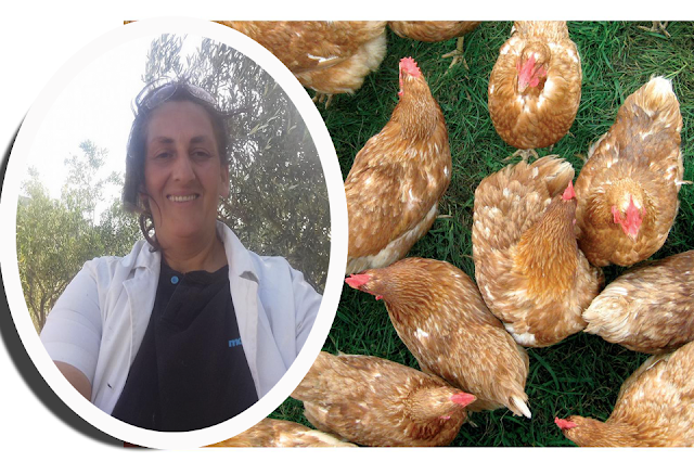 ΒΟΝΙΤΣΑ: Πτηνοτροφική μονάδα Τα Καμπίσια της Νίκης Αθήνη: Φρέσκα προϊόντα από το κοτέτσι! - Φωτογραφία 2