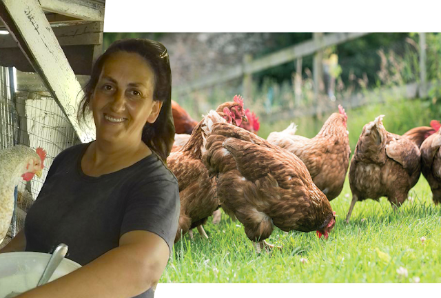ΒΟΝΙΤΣΑ: Πτηνοτροφική μονάδα Τα Καμπίσια της Νίκης Αθήνη: Φρέσκα προϊόντα από το κοτέτσι! - Φωτογραφία 7
