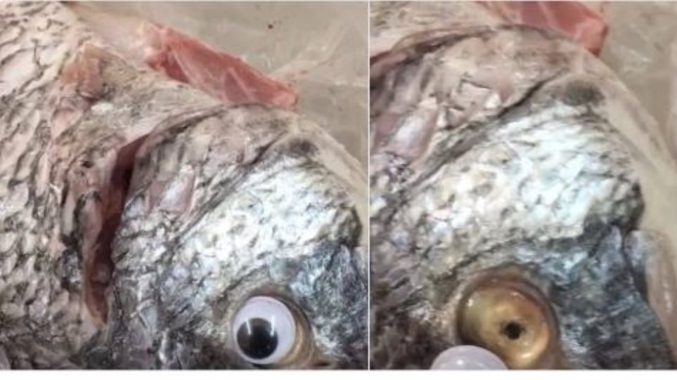 Ιδιοκτήτης εστιατορίου κολλούσε ψεύτικα πλαστικά μάτια στα ψάρια - Φωτογραφία 1