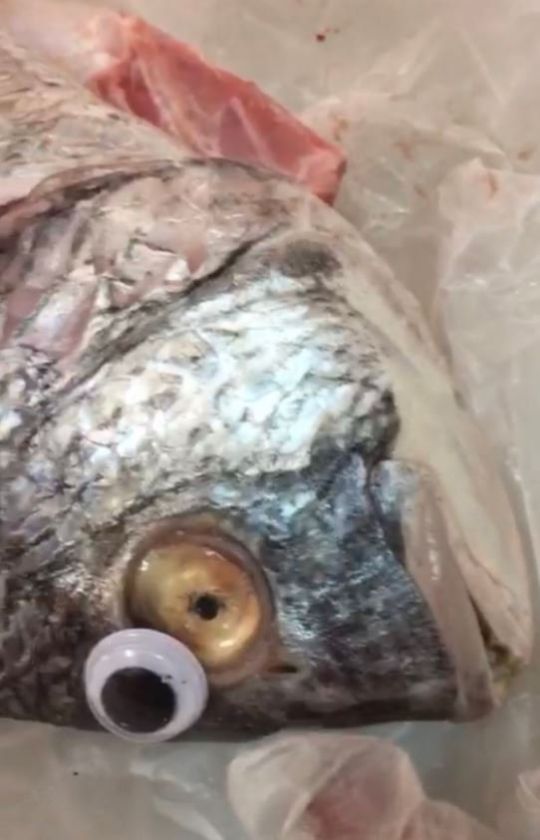 Ιδιοκτήτης εστιατορίου κολλούσε ψεύτικα πλαστικά μάτια στα ψάρια - Φωτογραφία 3