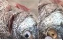 Ιδιοκτήτης εστιατορίου κολλούσε ψεύτικα πλαστικά μάτια στα ψάρια
