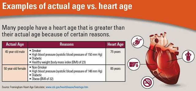 Δείτε ποια είναι η ηλικία της καρδιάς σας – Δείκτης καρδιακού επεισοδίου - Φωτογραφία 3