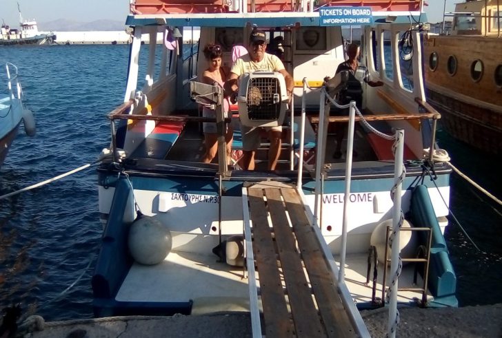 Κρήτη: Βρήκε τραυματισμένο γύπα στην θάλασσα - Φωτογραφία 5