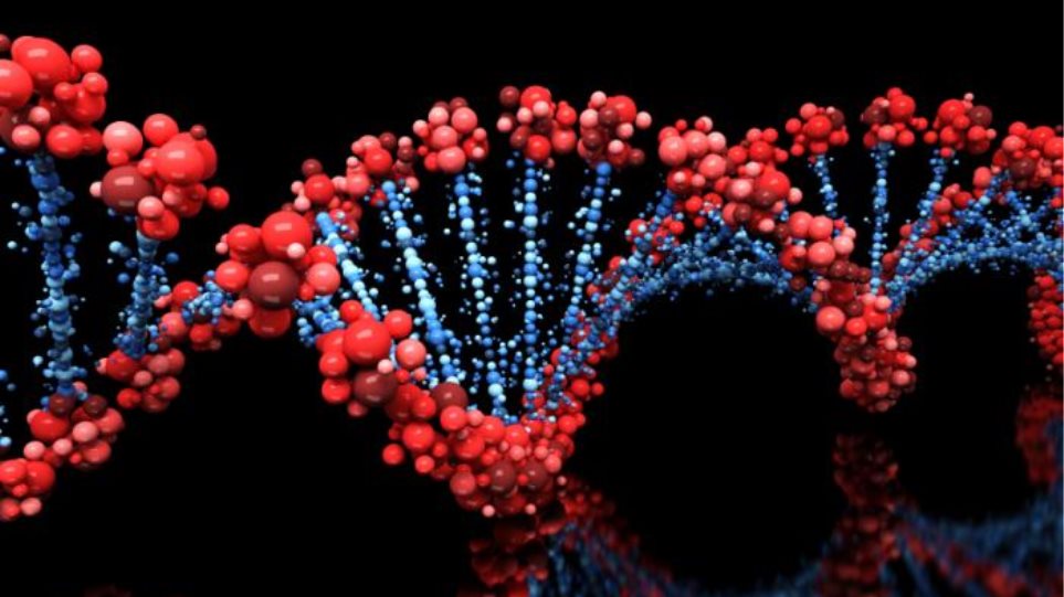 Νέα μελέτη: Οι άνθρωποι ίσως έχουν 20% λιγότερα κωδικοποιητικά γονίδια από ότι πιστεύαμε - Φωτογραφία 1