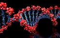 Νέα μελέτη: Οι άνθρωποι ίσως έχουν 20% λιγότερα κωδικοποιητικά γονίδια από ότι πιστεύαμε