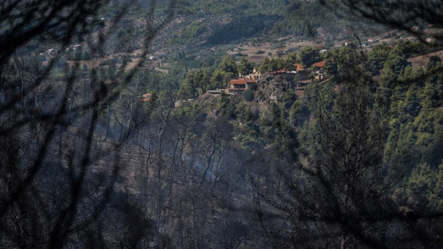 Φωτιά στην περιοχή Κελεφά της Λακωνίας - Φωτογραφία 1